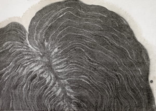 Barbara Edelstein 芭芭拉・愛德斯坦, Leaf in the Air (series) 空气中的叶 (系列), 2022