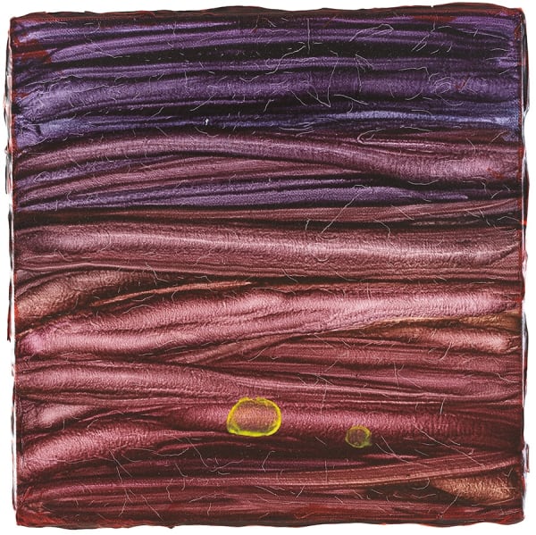 Chen Chunmu 陳春木, Bundle I 束 - 1, 2015