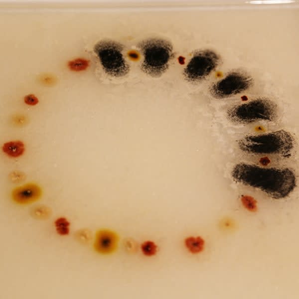 Chen Youtong 陈友桐, Objects of Orders-3 秩序之物-3, 2018