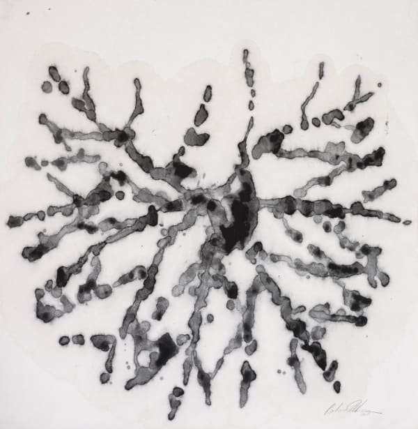 Barbara Edelstein 芭芭拉・愛德斯坦, Leaf in the Air (series) 空气中的叶 （系列）, 2020