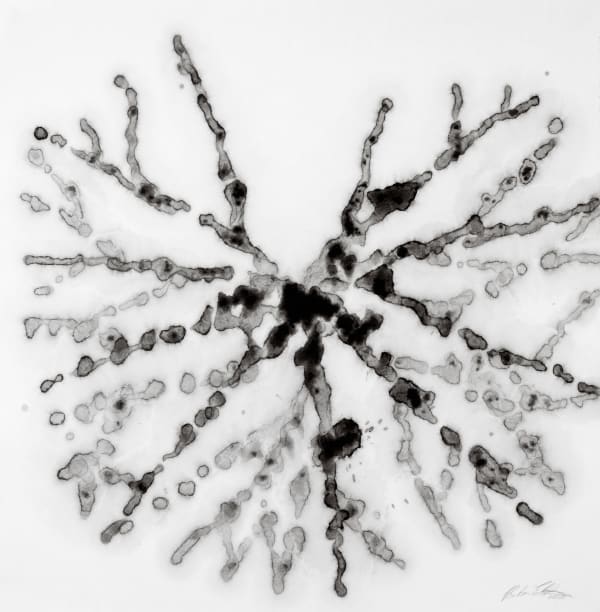 Barbara Edelstein 芭芭拉・愛德斯坦, Leaf in the Air (series) 空气中的叶 （系列）, 2020