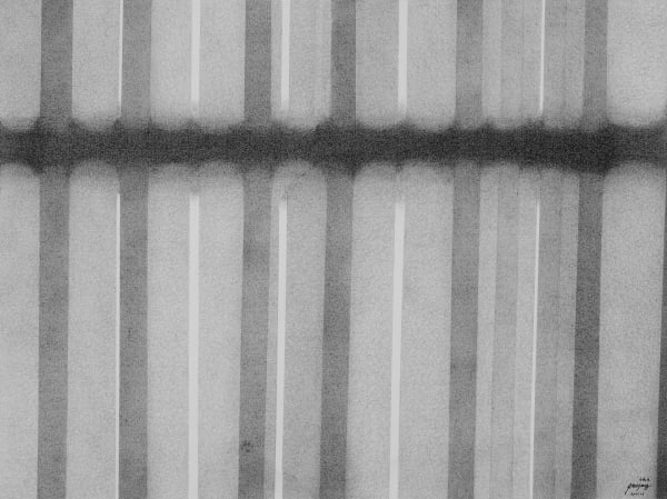 Wang Peiyong 王培永, Appearance • 2 相 · 二, 2015