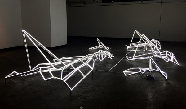 Lin Xin 林欣, Extra Dimensions of Time, 2015