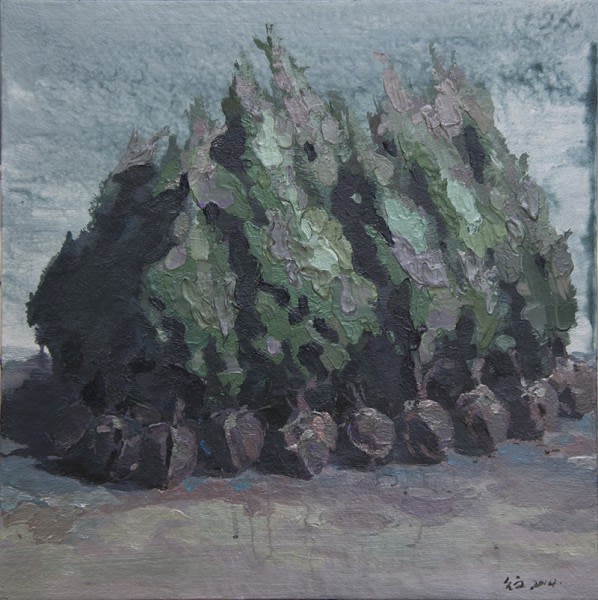 Li Yiwen 李易紋, Pine Tree No.3, 2014