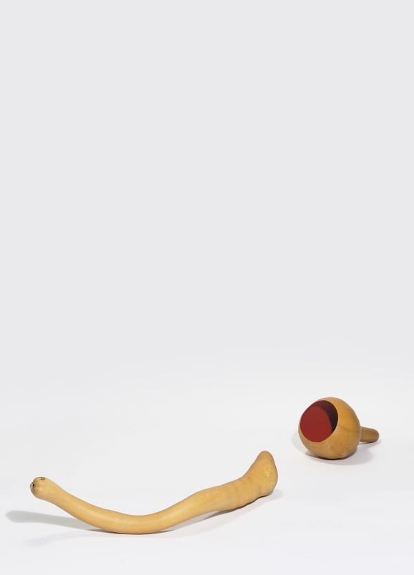 Anish Kapoor, Untitled, 1993-95