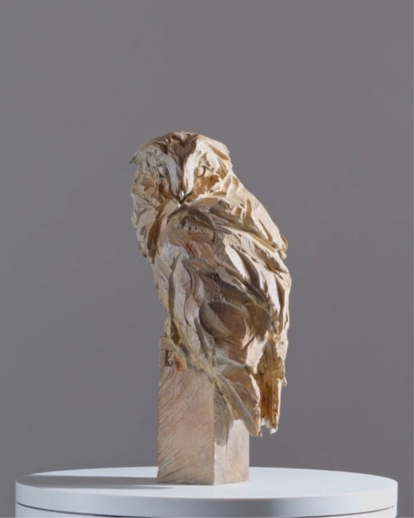 Jürgen Lingl, Chouette-effraie