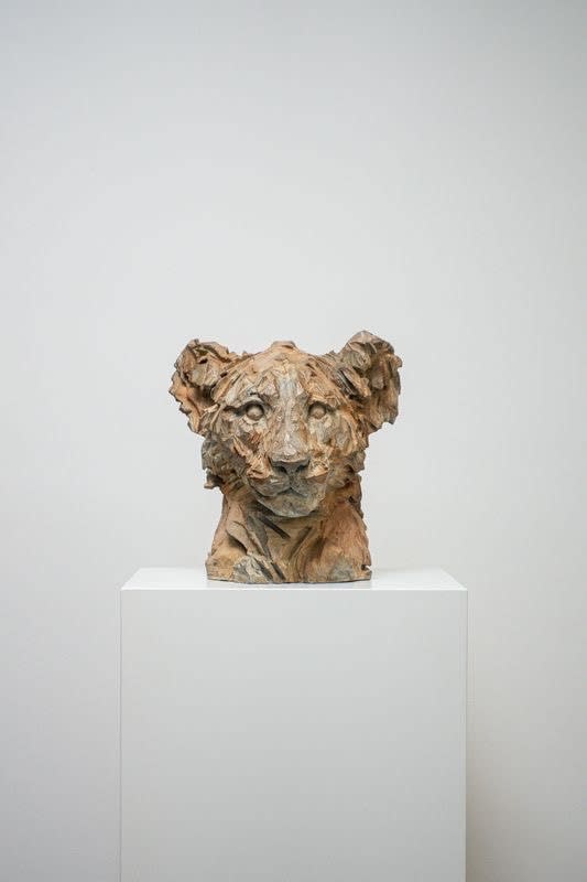Jürgen Lingl, Little Brother (baby lion)
