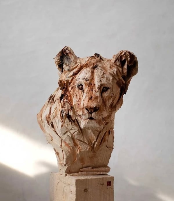 JÜRGEN LINGL - Lion Youngster