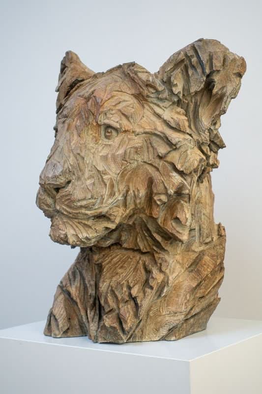 Jürgen Lingl, Hope (young lion)