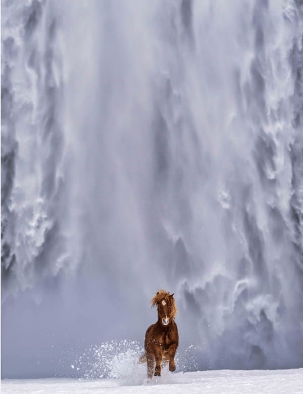 David Yarrow, The Big Chill