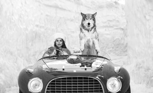 David Yarrow, Driving Home For Christmas