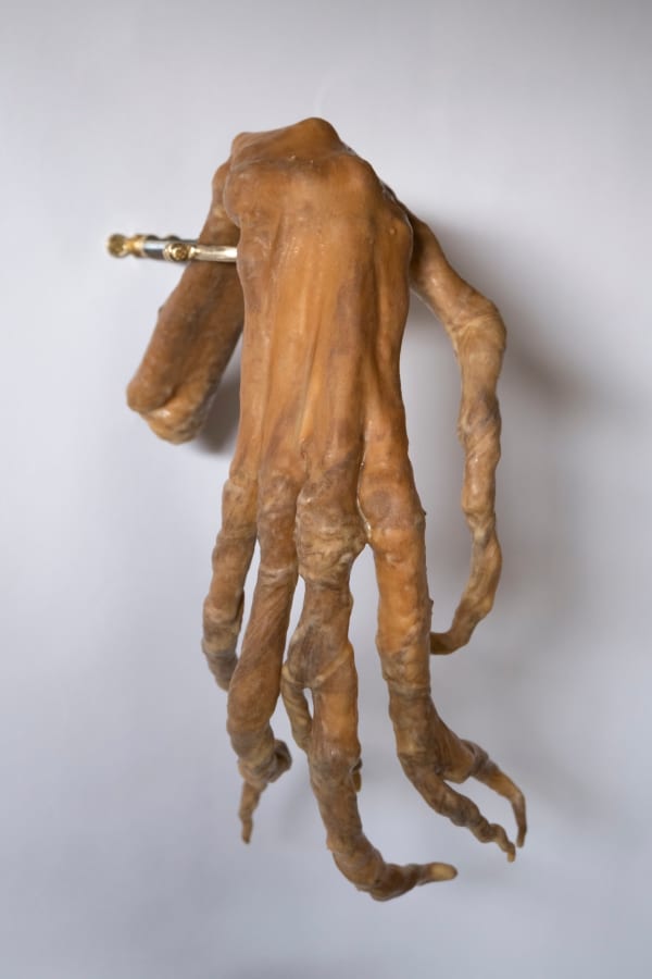 Abigail Norris, Limb, 2024