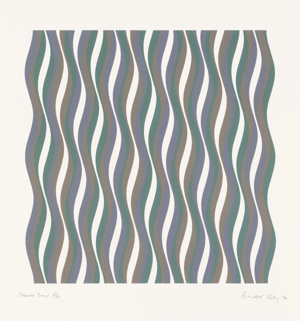 Bridget Riley, Coloured Greys 1 , 1972