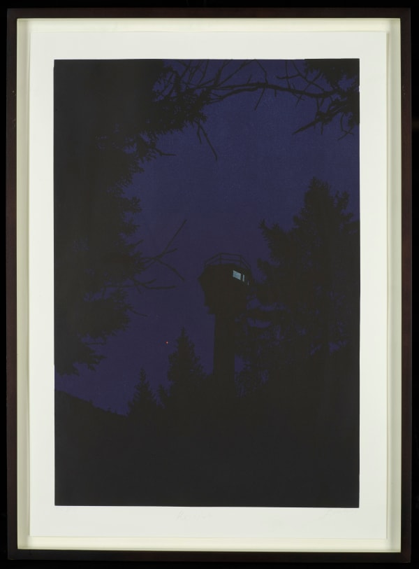 Claas Gutsche, Relict, 2011