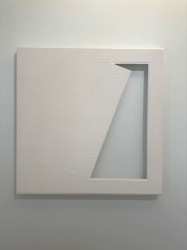 Francisco Salazar, Number 830 (Le Blanc est la pensée du vide), 2005