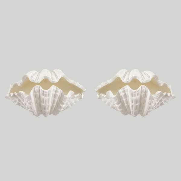 Pair of Custom Coquillage Plaster Sconces