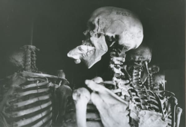 Hervé Guibert Musée de l'Homme, Paris Tirage gélatino-argentique d'époque 16,3 x 24 cm Dim. papier: 16,3 x 24 cm
