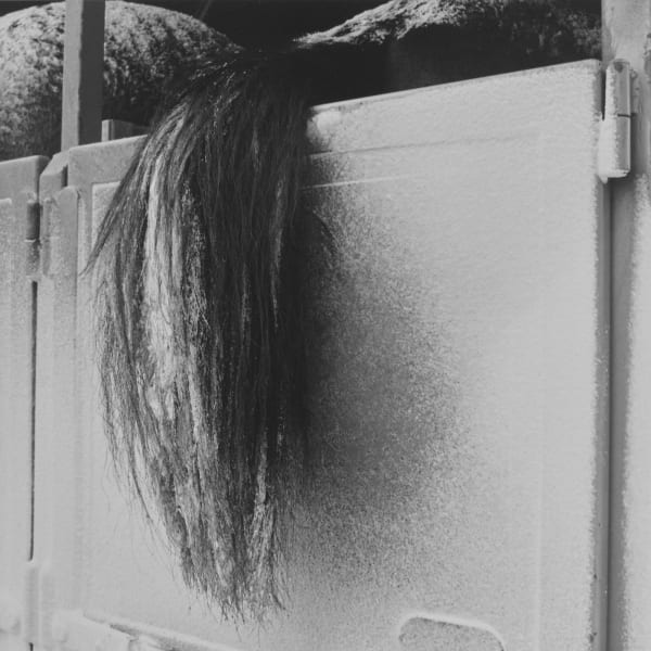 Steven Rifkin, Untitled, Colorado Springs, CO, 1975