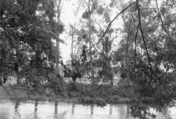 Thomas Boivin, Promenades #8, Indre, 2021