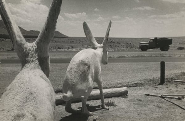 Ernst Haas Land of Enchantment, New Mexico, USA Tirage gélatino-argentique d'époque 33 x 22 cm