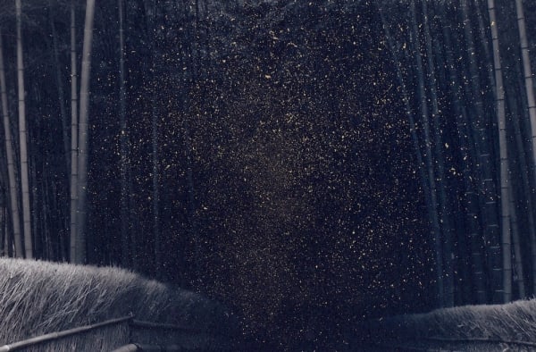 Albarrán Cabrera, The Mouth of Krishna #398, 2015