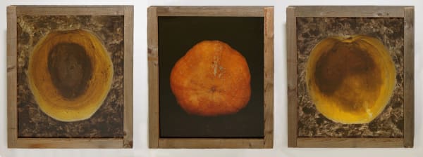 Pascal Kern Nature Triptyque, tirages Cibachrome contrecollés sur aluminium, encadrement bois