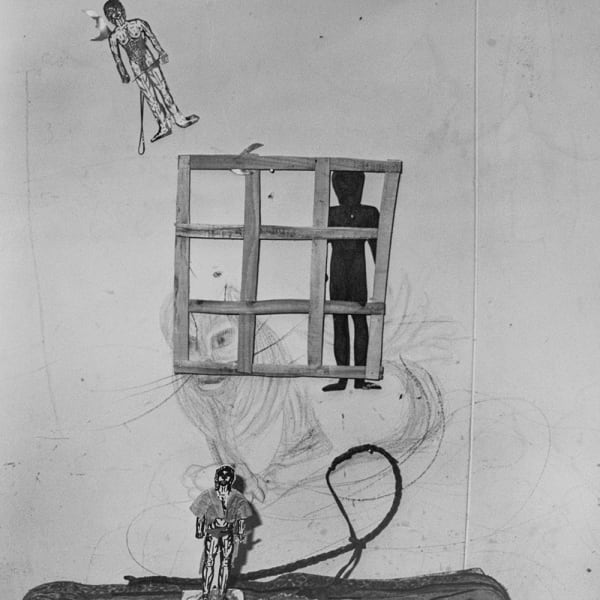 Roger Ballen, Imprisoned, 2000
