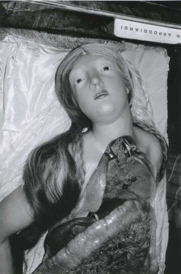 Hervé Guibert La Specola, Florence Tirage gélatino-argentique d'époque 17 x 25,5 cm Dim. papier: 20 x 30 cm