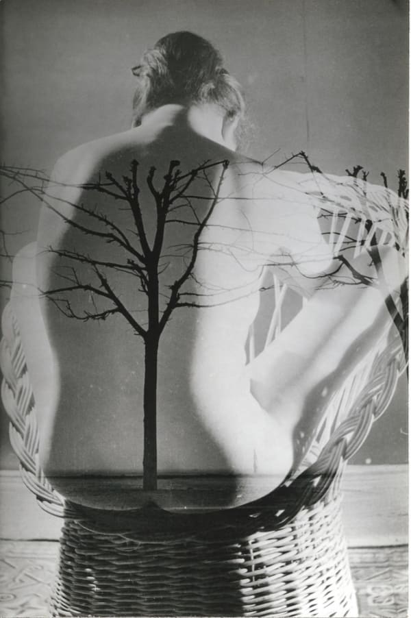 Roger Catherineau, Sans titre, n.d.