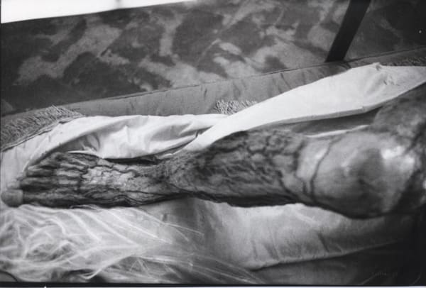 Hervé Guibert La Specola, Florence Tirage gélatino-argentique d'époque 16 x 24 cm Dim. papier: 16 x 24 cm