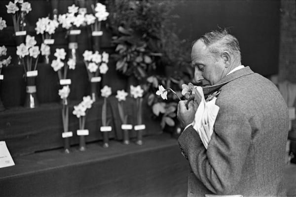 Homer Sykes, Flower Show, Victoria, London, 1969