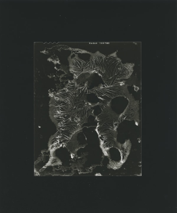 Bogdan Konopka, Cristallisations, 2015
