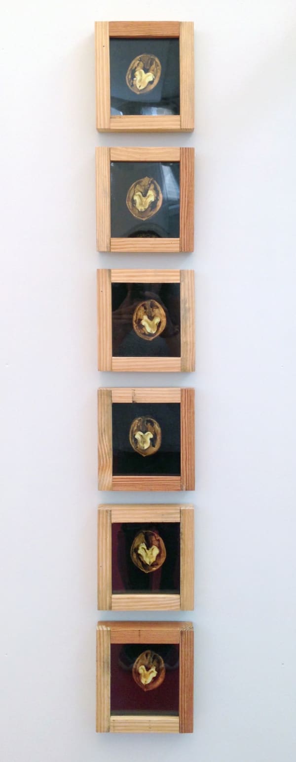 Pascal Kern Nature Polyptyque, tirages Cibachrome, encadrement bois