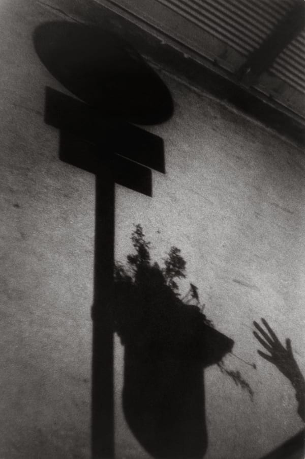 Sabine Weiss, Vienne, Autriche, 1955