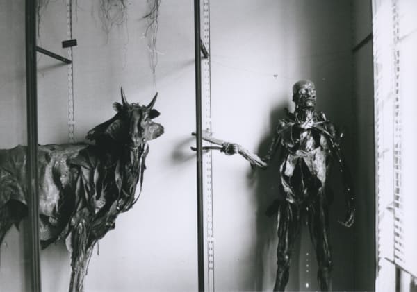 Hervé Guibert Musée de l'École Vétérinaire, Maisons-Alfort Tirage gélatino-argentique d'époque 17 x 24,2 cm Dim. papier: 17 x 24,2 cm