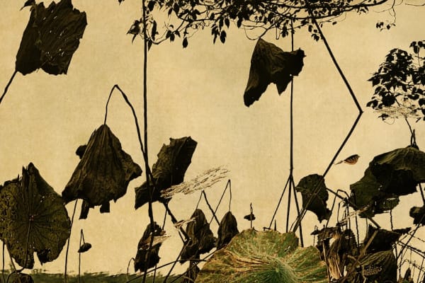 Albarrán Cabrera, The Mouth of Krishna #897, 2016