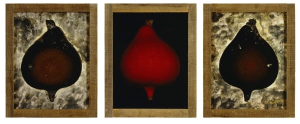 Pascal Kern Nature Triptyque, tirages Cibachrome, encadrement bois