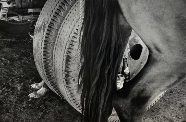 Ernst Haas, Sans titre (on the set of "The Misfits"), Nevada, 1960