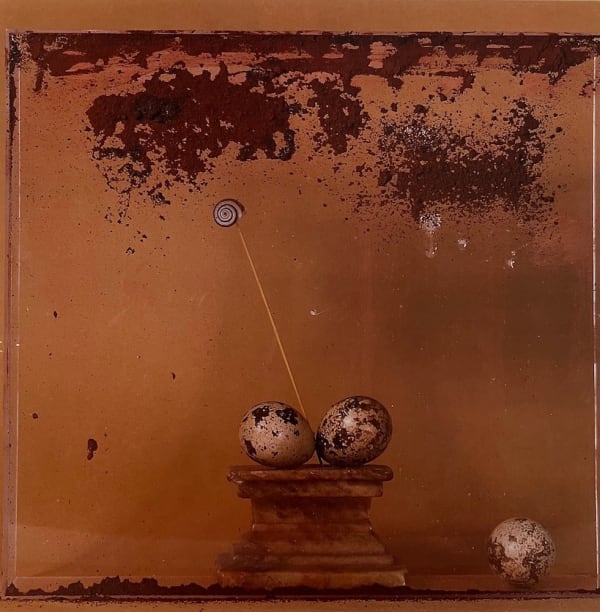 Toni Catany, Natura Morta n°7, 1982