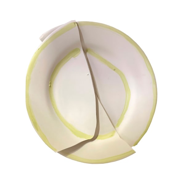 Ghislaine Vappereau, Effet de réel (#5), 2018