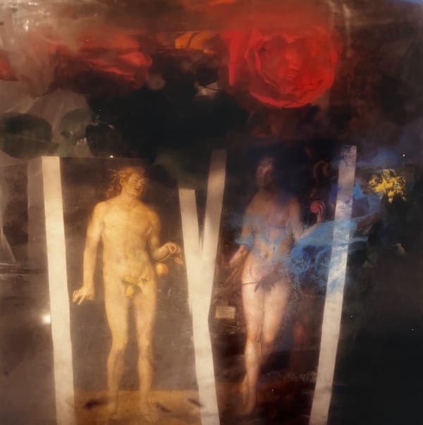 Toni Catany, Natura Morta n°134, 1987