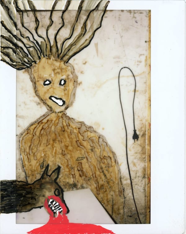 Roger Ballen, Polaroid #26, 2023-2024