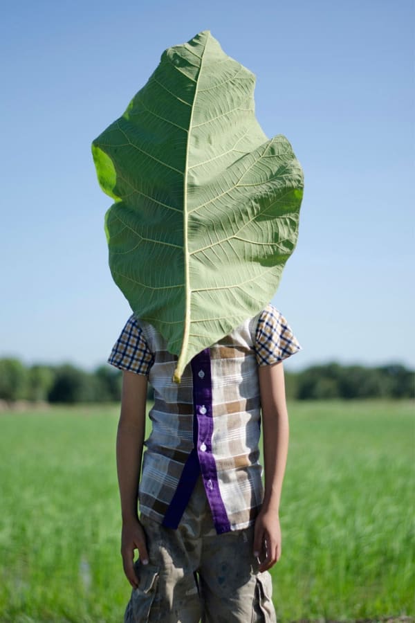 Sophal Neak Leaf #7 Tirage C-Print 67 x 100 cm Dim. papier: 67 x 100 cm