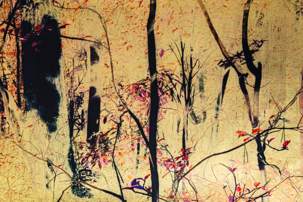 Albarrán Cabrera, The Indestructible #70014, 2016