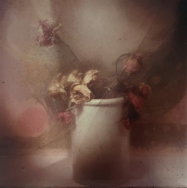 Toni Catany, Natura Morta n°115, 1986