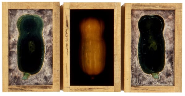 Pascal Kern Nature Triptyque, tirages Cibachrome, encadrement bois