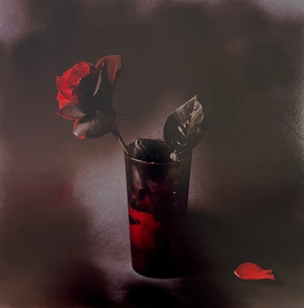 Toni Catany, Natura Morta n°83, 1985