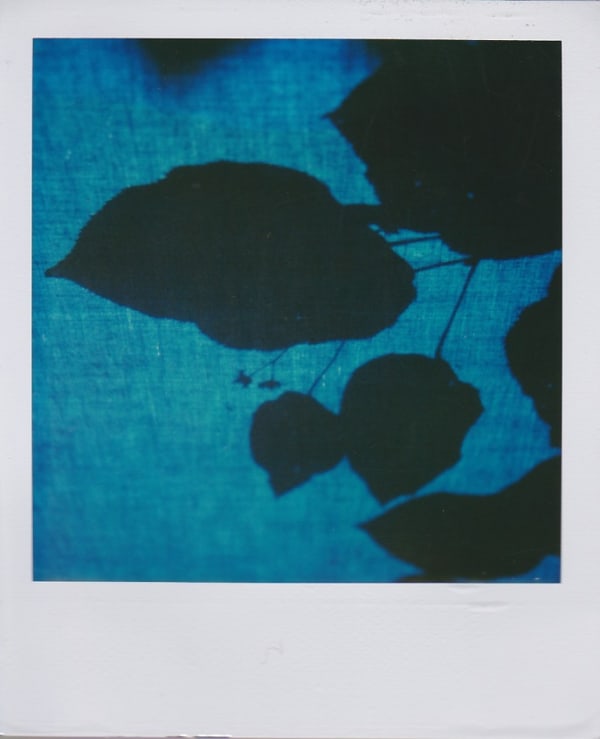 Marion Dubier-Clark Blue shadow Polaroid 7,7 x 7,9 cm 2.76 x 2.76 in Dim. papier: 10,7 x 8,8 cm