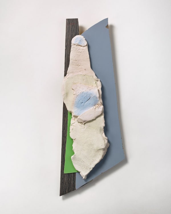 Ghislaine Vappereau, L’étagère négligée 06, 2022