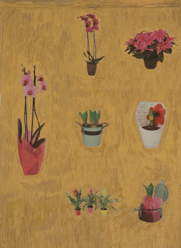 Paul Pouvreau, D’ores et déjà N°2, 2018-19